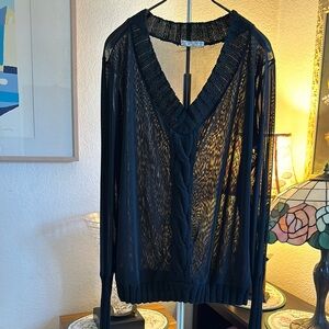 Elegant Black Sheer V-Neck Top